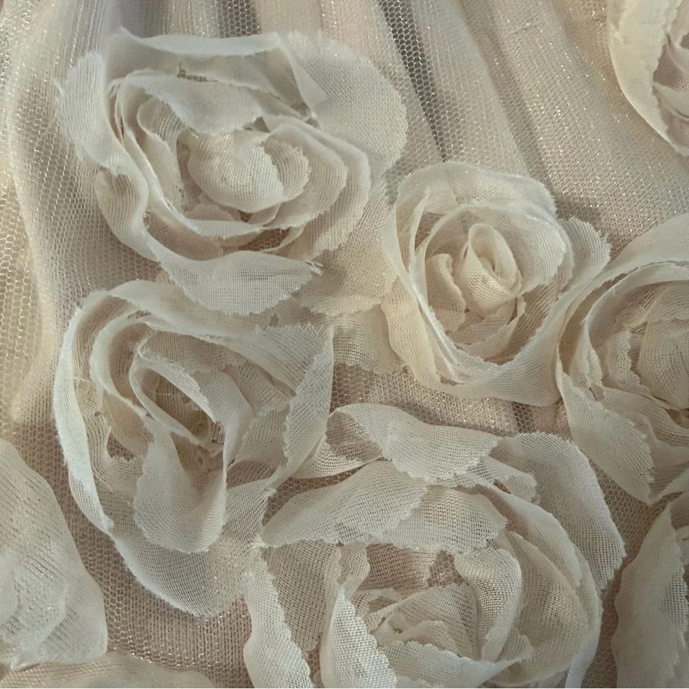 Nannette 3D Rosette Tulle Dress Champagne Pink 18M Flower Girl Birthday Shimmer